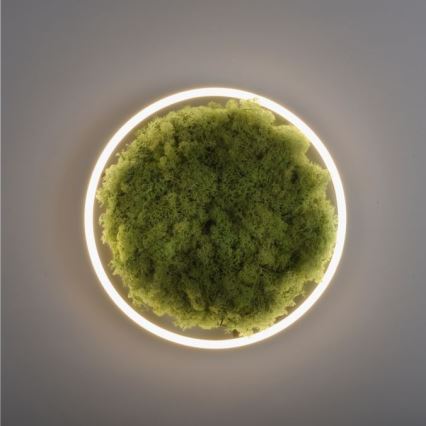 JUST LIGHT. 15391-66 - Himmennettävä LED-kattovalaisin VIHREÄ RITU LED/20W/230V