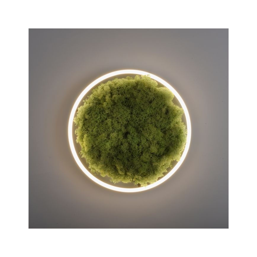 JUST LIGHT. 15391-66 - Himmennettävä LED-kattovalaisin VIHREÄ RITU LED/20W/230V