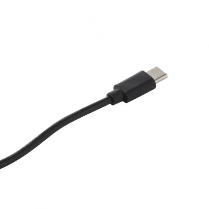 JUST LIGHT. 19260-18 - LED Himmennettävä kosketus ulko lamppu ABERA LED/3W/3,7V 2000 mAh USB IP54 musta