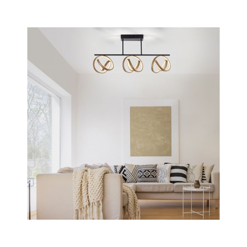 JUST LIGHT. 6245-18 - LED-himmennyskattokruunu LOOP 3xLED/11W/230V 2700-5000K + kauko-ohjaus