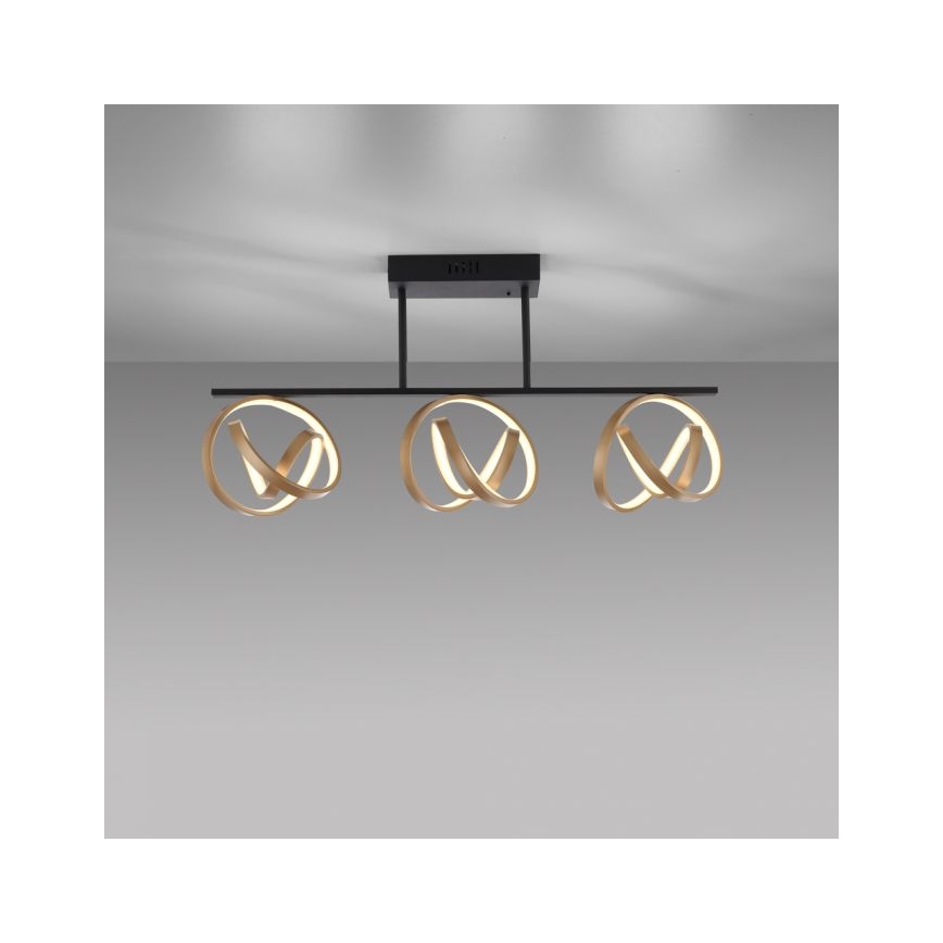 JUST LIGHT. 6245-18 - LED-himmennyskattokruunu LOOP 3xLED/11W/230V 2700-5000K + kauko-ohjaus