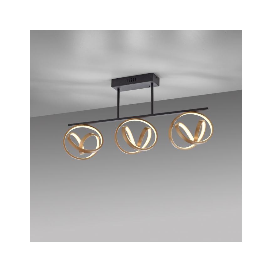 JUST LIGHT. 6245-18 - LED-himmennyskattokruunu LOOP 3xLED/11W/230V 2700-5000K + kauko-ohjaus