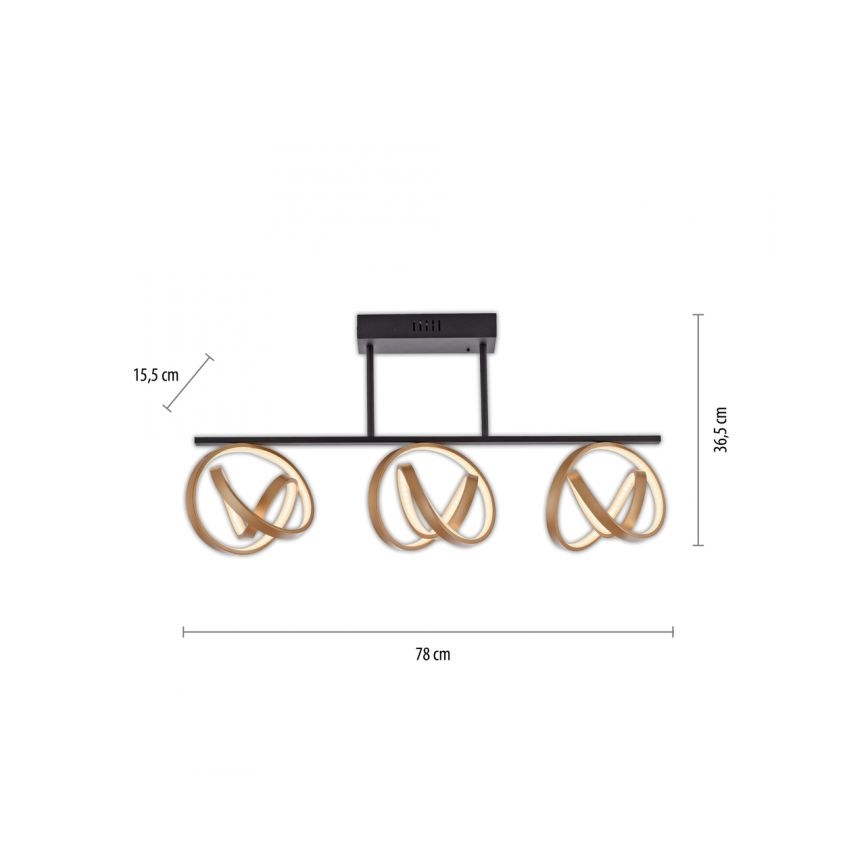 JUST LIGHT. 6245-18 - LED-himmennyskattokruunu LOOP 3xLED/11W/230V 2700-5000K + kauko-ohjaus