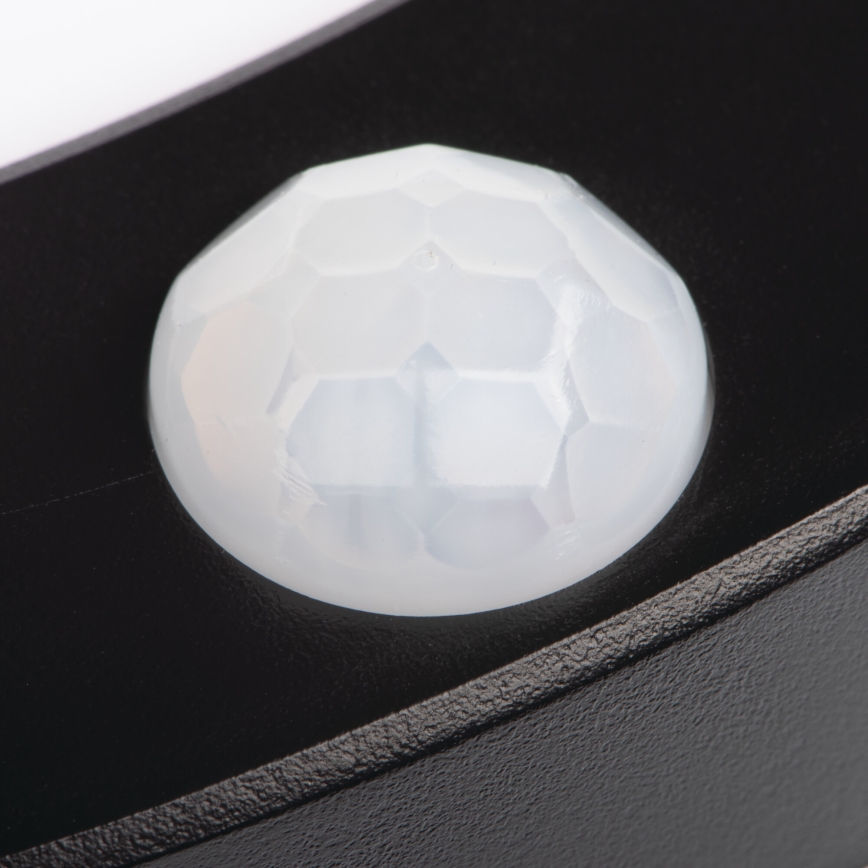 LED Katto/uppovalaisin liiketunnistimella 2-in-1 ERGA LED/17W/230V 3000/4000/6500K musta