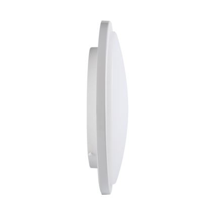 LED-kattovalaisin kylpyhuoneeseen ORTE LED/24W/230V IP54