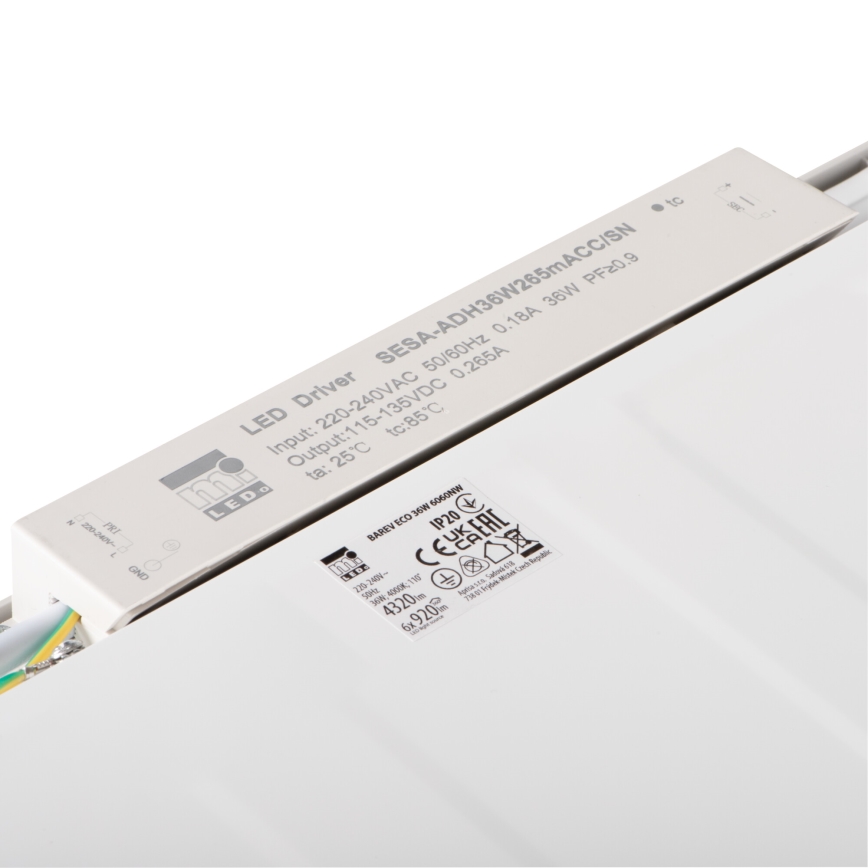 Riippuva LED-kattopaneeli BAREV ECO LED/36W/230V 4000K 60x60 cm