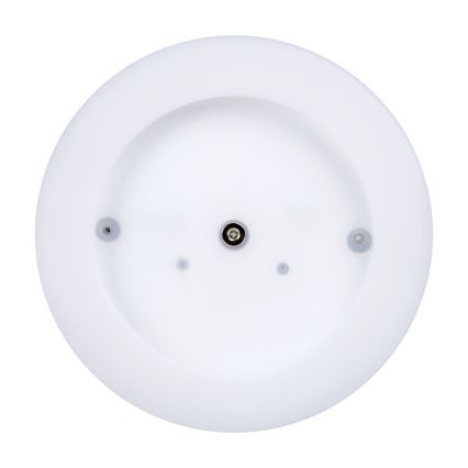 LED-ulkokattovalaisin TURA LED/24W/230V 4000K IP54 musta