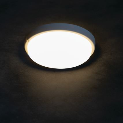 LED-kattovalaisin kylpyhuoneeseen TOLU LED/9W/230V 4000K IP54 valkoinen