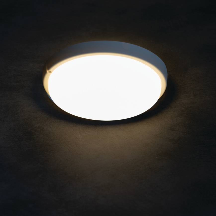 LED-kattovalaisin kylpyhuoneeseen TOLU LED/9W/230V 4000K IP54 valkoinen