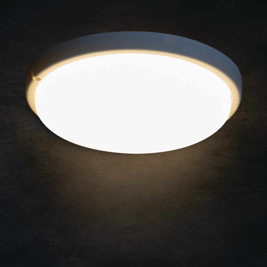 LED-kattovalaisin kylpyhuoneeseen TOLU LED/18W/230V 4000K IP54 valkoinen