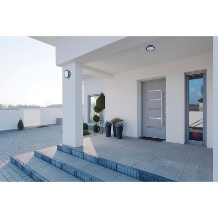 LED-ulkovalo BENO LED/24W/230V IP54 antrasiitti
