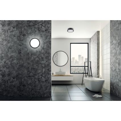 LED-ulkovalo BENO LED/24W/230V IP54 antrasiitti