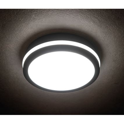 LED-ulkovalo BENO LED/24W/230V IP54 antrasiitti