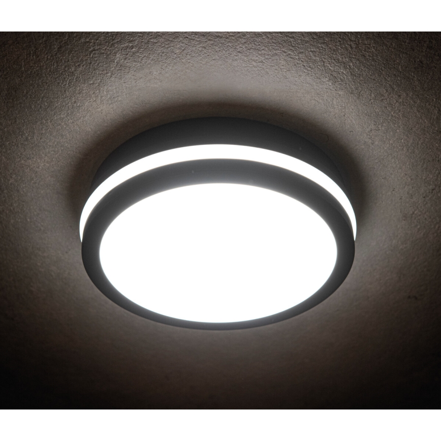 LED-ulkovalo BENO LED/24W/230V IP54 antrasiitti