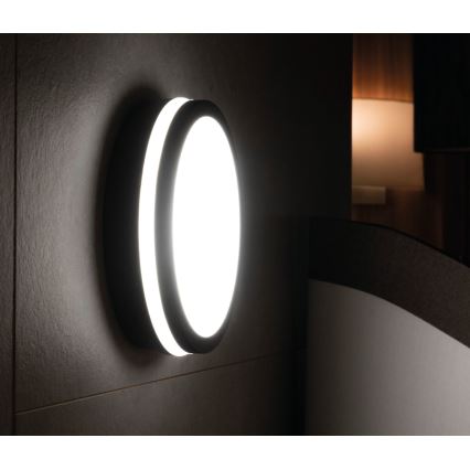 LED-ulkovalo BENO LED/24W/230V IP54 antrasiitti