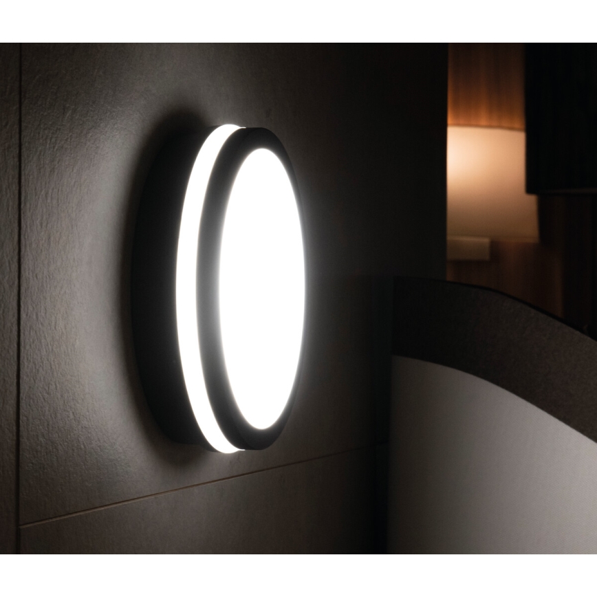 LED-ulkovalo BENO LED/24W/230V IP54 antrasiitti