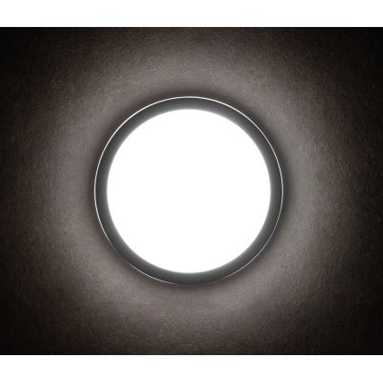 LED-ulkovalo BENO LED/24W/230V IP54 antrasiitti