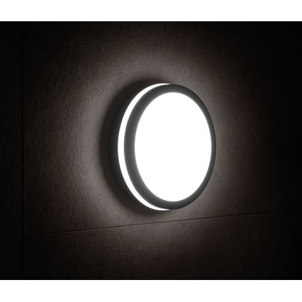 LED-ulkovalo BENO LED/24W/230V IP54 antrasiitti