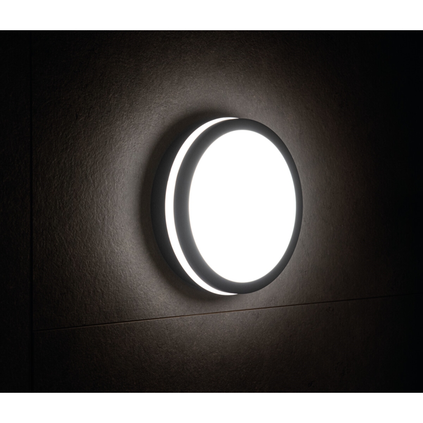 LED-ulkovalo BENO LED/24W/230V IP54 antrasiitti