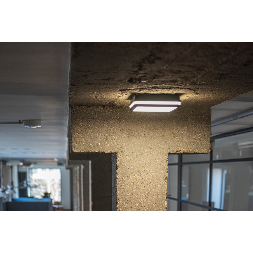 LED-ulkokattovalaisin BENO LED/18W/230V 4000K antrasiitti IP54