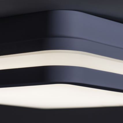 LED-ulkokattovalaisin BENO LED/18W/230V 4000K antrasiitti IP54