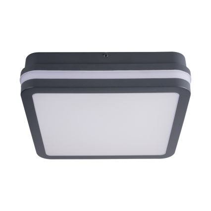 LED-ulkokattovalaisin BENO LED/18W/230V 4000K antrasiitti IP54