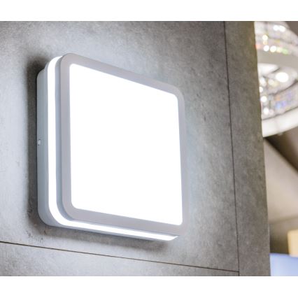 LED Kiinteä valo BENO LED/18W/230V 3000K valkoinen IP54