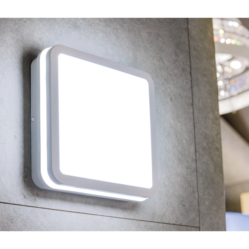 LED Kiinteä valo BENO LED/18W/230V 3000K valkoinen IP54