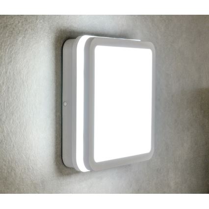 LED Kiinteä valo BENO LED/18W/230V 3000K valkoinen IP54