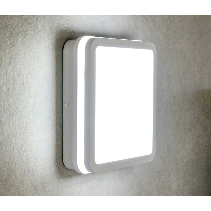 LED Kiinteä valo BENO LED/18W/230V 3000K valkoinen IP54