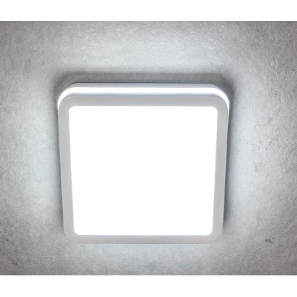 LED Kiinteä valo BENO LED/18W/230V 3000K valkoinen IP54
