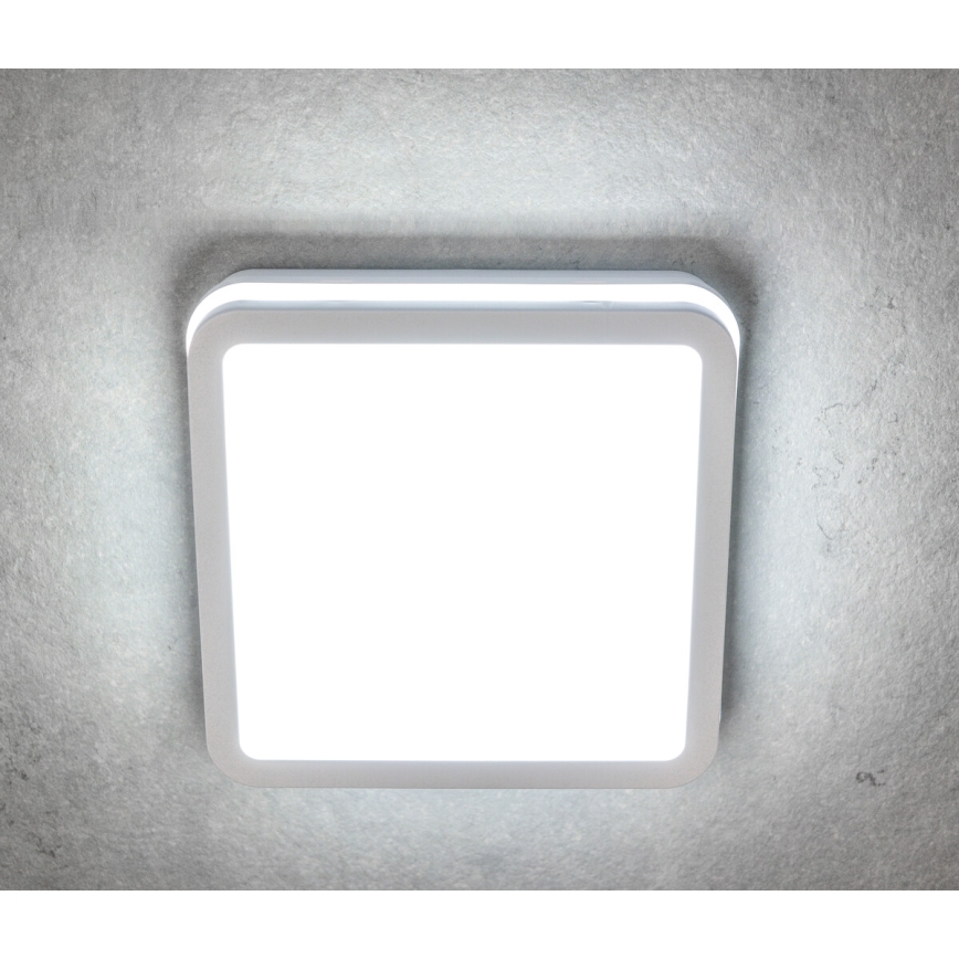 LED Kiinteä valo BENO LED/18W/230V 3000K valkoinen IP54