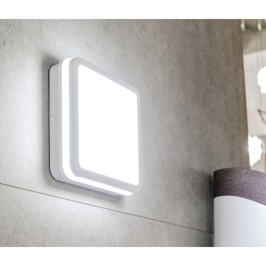 LED Kiinteä valo BENO LED/18W/230V 3000K valkoinen IP54