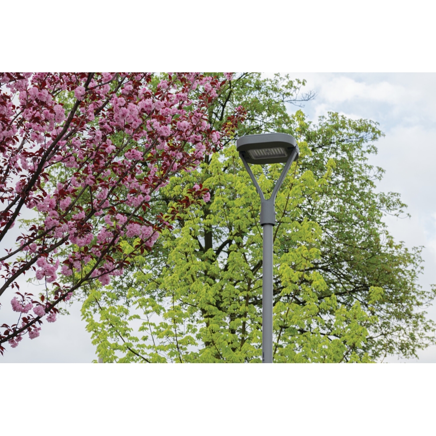 LED-katuvalo PARCOLI LED/30/40/50W/230V 3000/4000/6500K IP66 harmaa