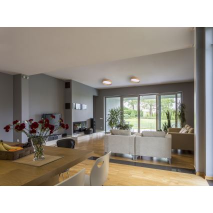 LED-kattovalaisin RIFA LED/17,5W/230V 4000K ruskea