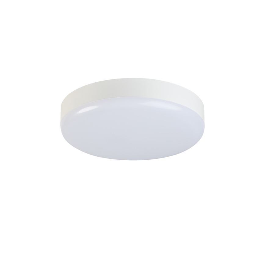 LED-kattotyövalo IPER LED/26W/230V IK10 IP65 pyöreä valkoinen