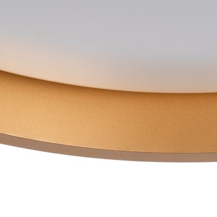 LED-kattovalaisin SOLN LED/17,5W/230V halkaisija 38 cm valkoinen/kulta