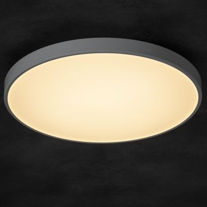 Himmennettävä LED-kattovalaisin PLAFON LED/20W/230V 3000-6500K Wi-Fi valkoinen