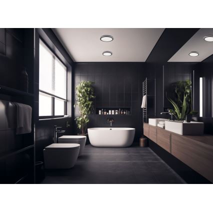 LED-ulkokattovalaisin BENO LED/12/18W/230V 3000/3500/4000K IP65 antrasiitti pyöreä