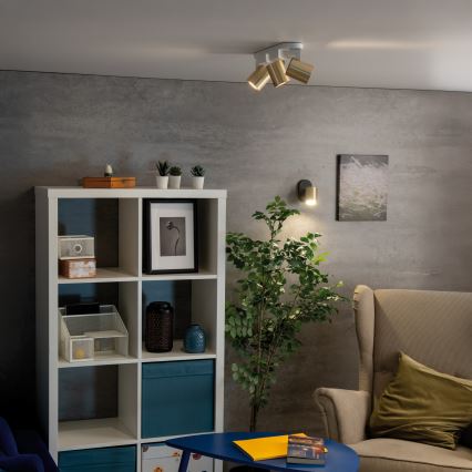 Seinäkohdevalo LAURIN 1xGU10/10W/230V messinki/musta