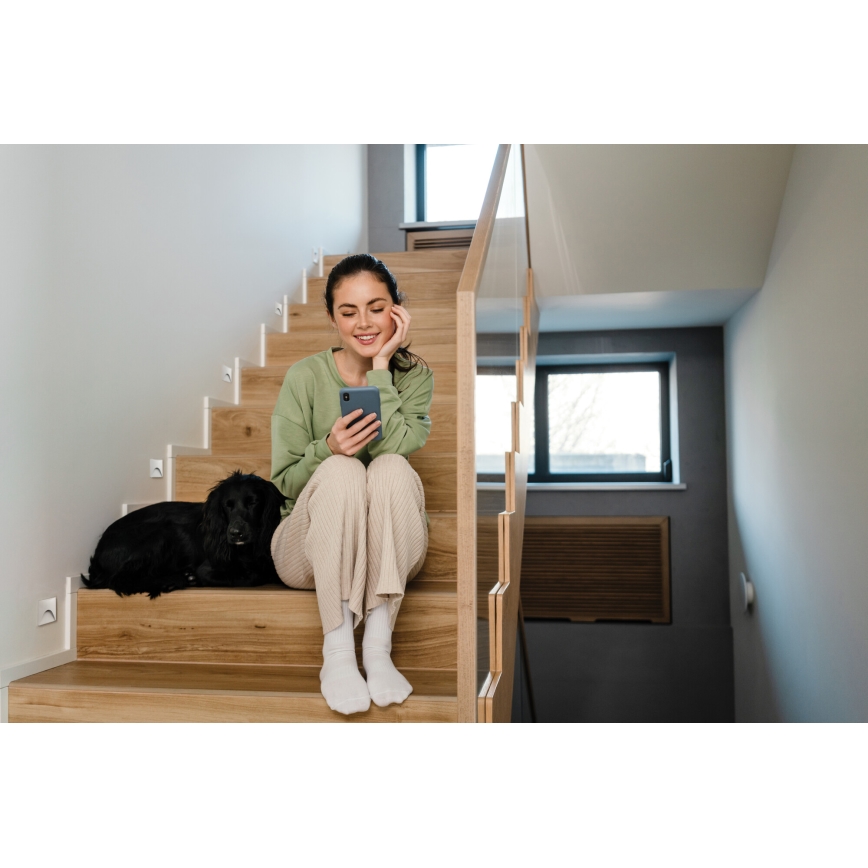 LED-porrasvalaisin EXIN LED/2,5W/230V 3000K IP65 valkoinen neliömäinen