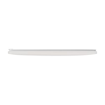 LED-kattovalaisin LINCEA LED/15/20/24W/230V 3000/4000/6500K IK08 IP40