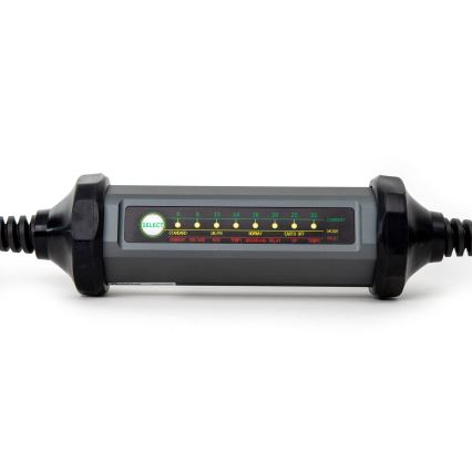 Kannettava laturi sähköautoihin kanssa 4 adapterit Tyyppi 2 32A/480V 22kW 5m IP67