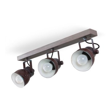 Katon kohdevalo VIANA 3xE27/60W/230V