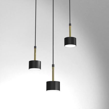 Kattokruunu johdossa ARENA 3xGX53/11W/230V musta/kulta