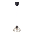 Kattokruunu johdossa CEED GOLD 1xE27/60W/230V halkaisija 17,5 cm musta/kulta