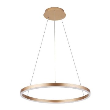 Kattokruunu johdossa DONA LED/62W/230V d. 80 cm