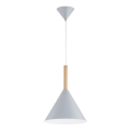Kattokruunu johdossa FUKS 1xE27/15W/230V harmaa/beige