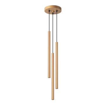 Kattokruunu johdossa PASTELO 3xG9/8W/230V kulta