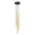 Kattokruunu johdossa PASTELO 3xG9/8W/230V kulta